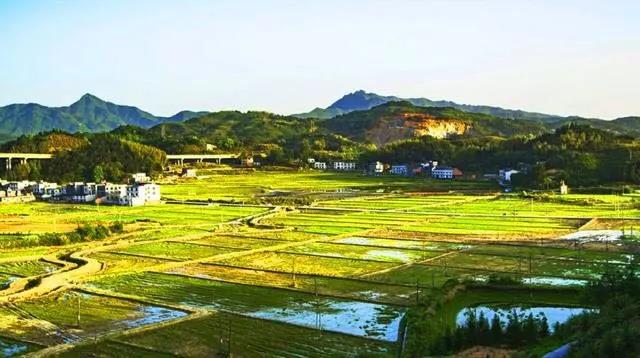 微信圖片_20200207122703.jpg 微信圖片_20200207122703.jpg