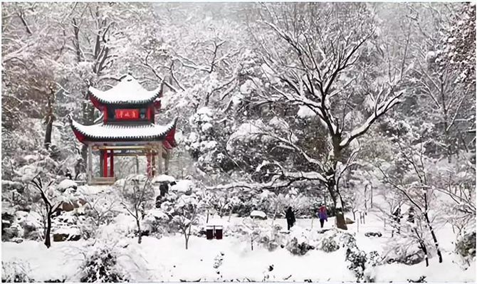 萬里長空飛瑞雪 ——遠(yuǎn)景智庫2019新年賀詞