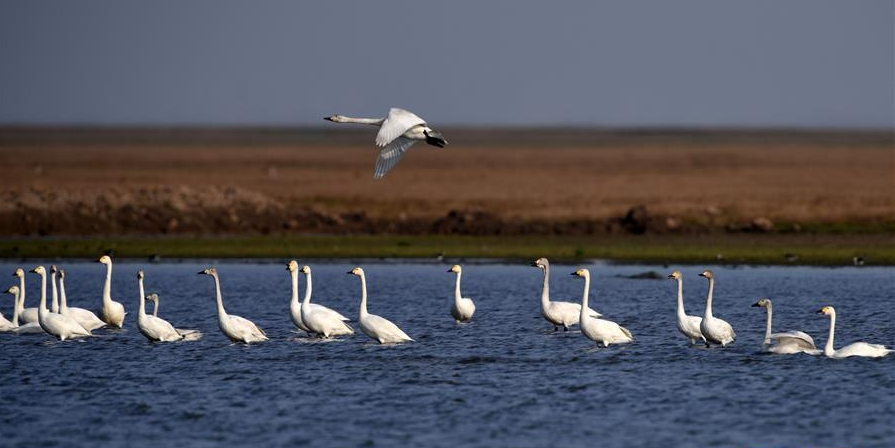 北冰、蔡文健：關(guān)于推動(dòng)環(huán)洞庭湖區(qū)旅游業(yè)高質(zhì)量發(fā)展的思考