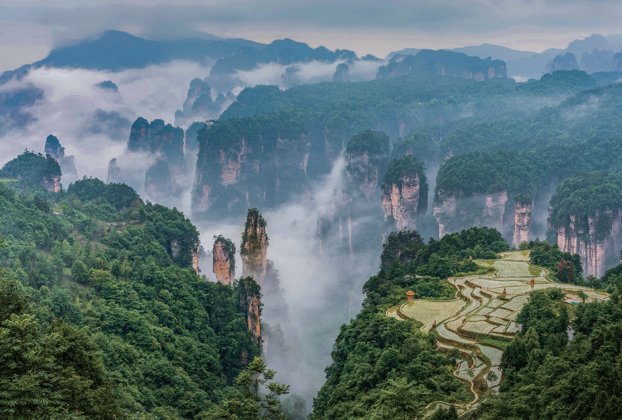 張家界武陵源區(qū)拉開(kāi)國(guó)內(nèi)文旅消費(fèi)升級(jí)序曲